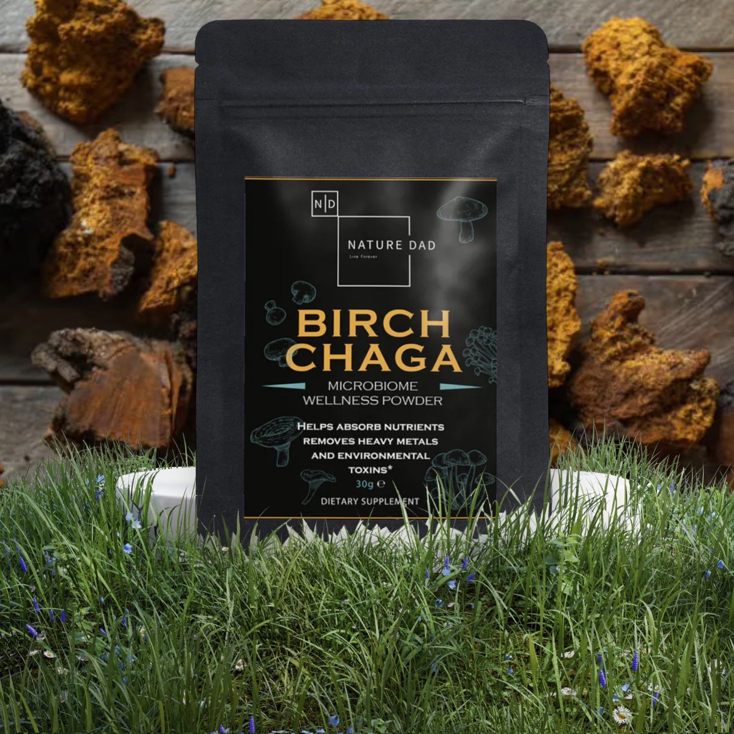 Birch Chaga Microbiome Wellness Powder