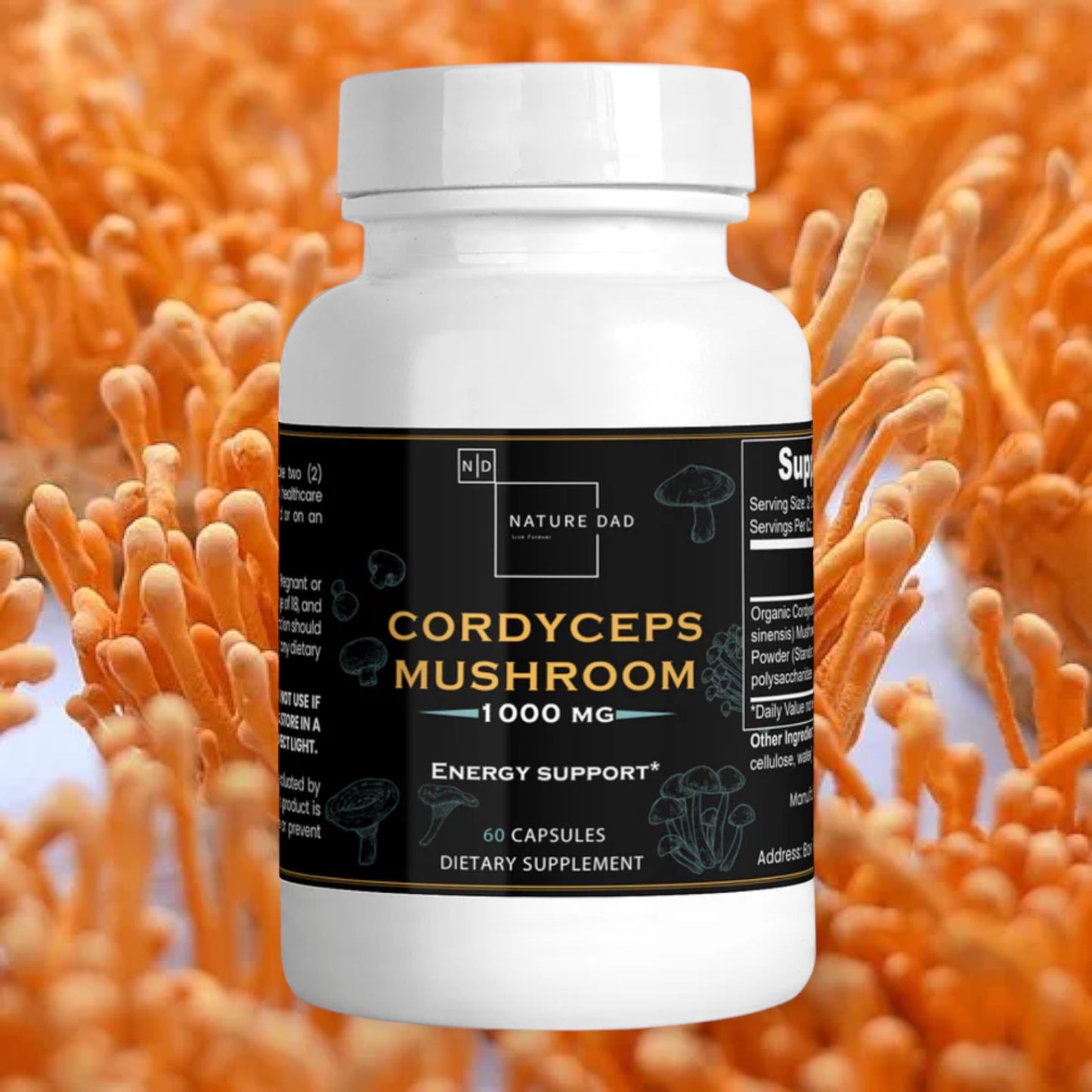 Cordyceps Mushroom