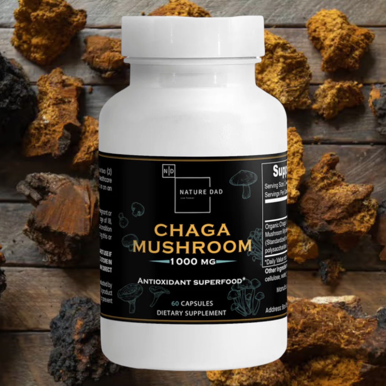 Chaga Mushroom