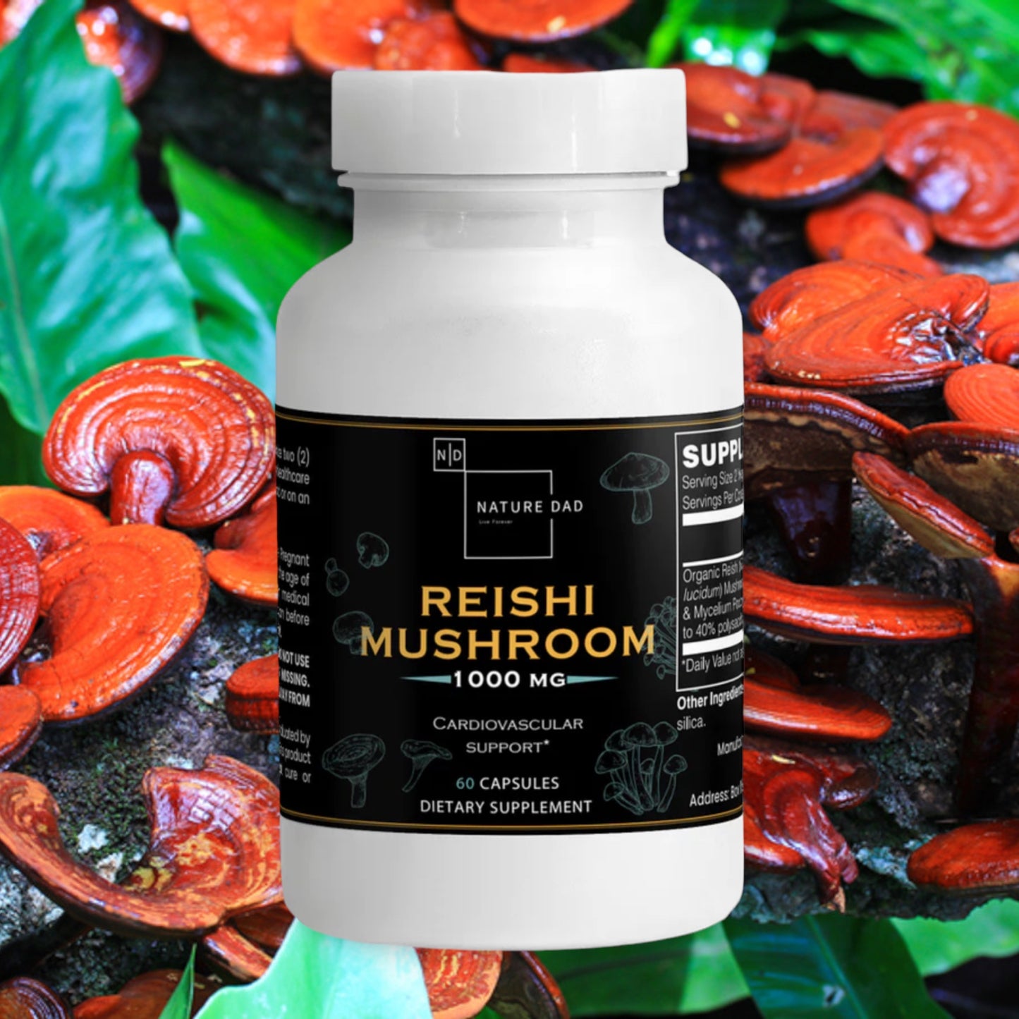 Reishi Mushroom